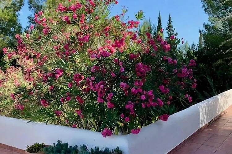 Belvilla By Oyo Casa Lourdes Sant Miquel de Balansat 0*,  Spanien